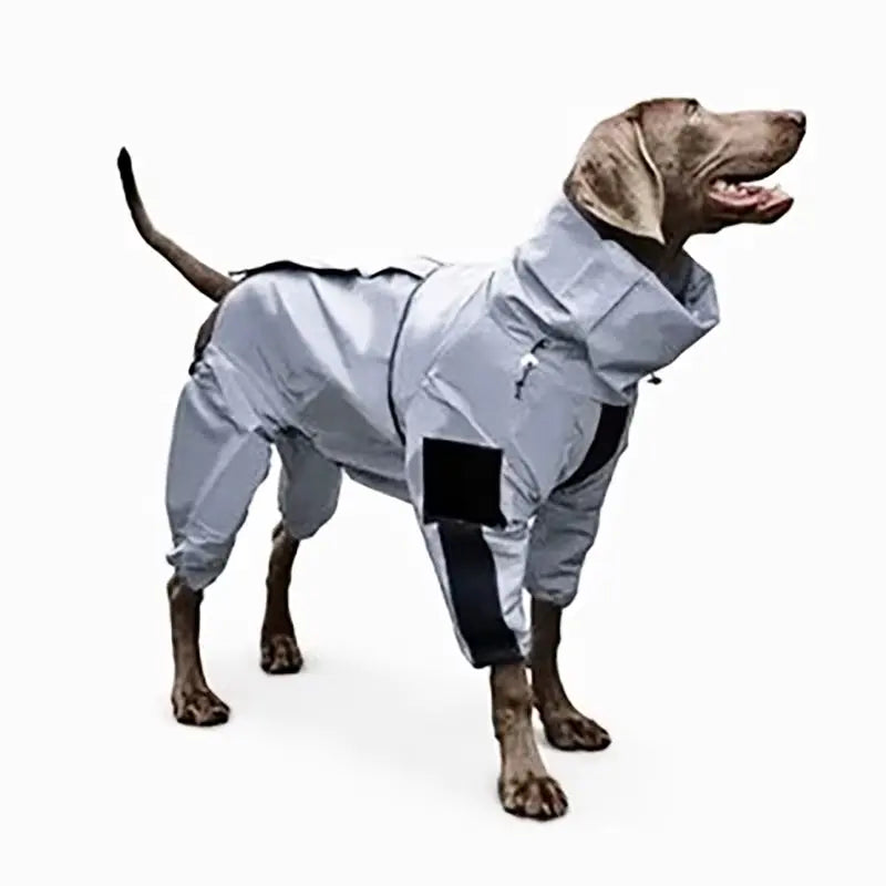 Reflective Waterproof Dog Jumpsuit for All-Weather Dog Adventures Puppy Whippd