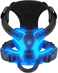 Rechargeable LED Light-Up Dog Harness for Night Walk Safety Puppy Whippd