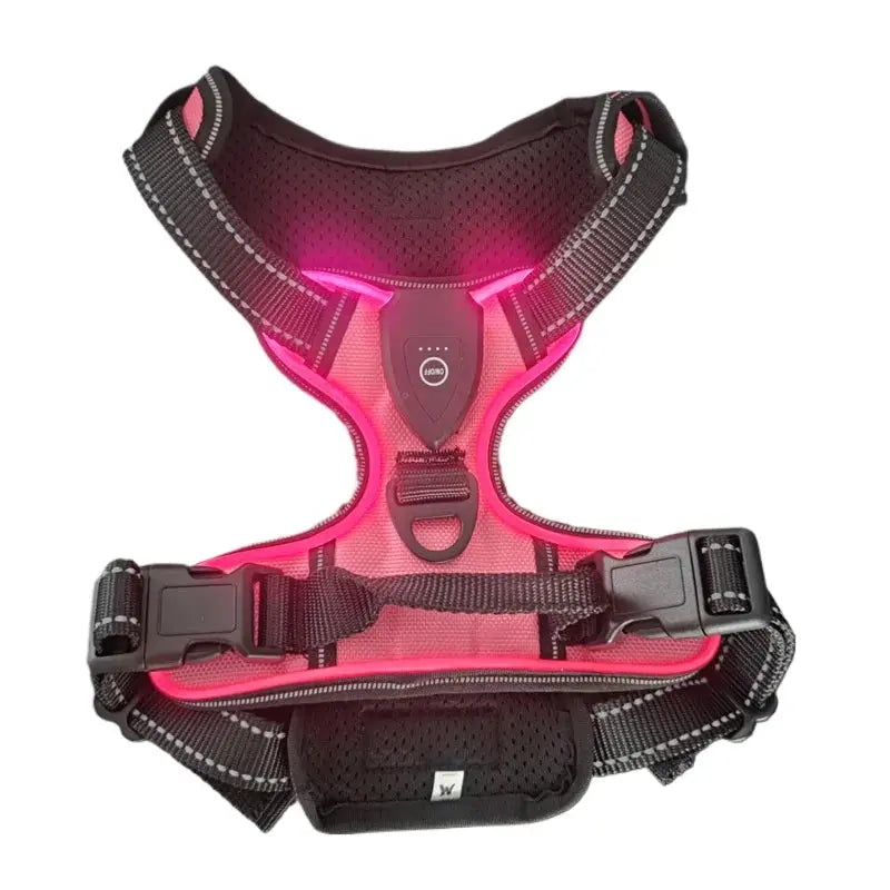 Rechargeable LED Light-Up Dog Harness for Night Walk Safety Puppy Whippd