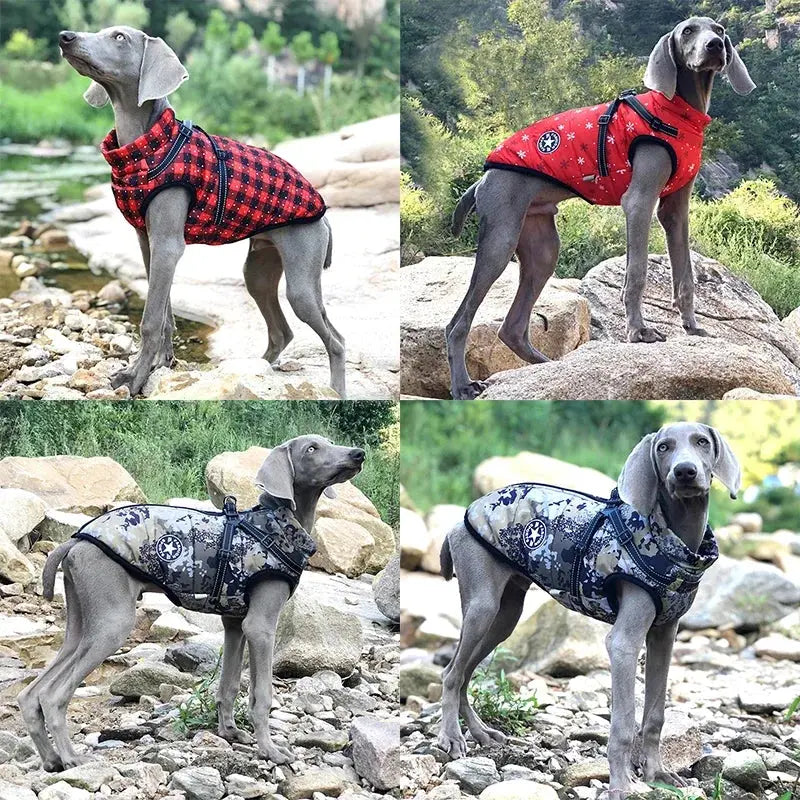Ultimate Winter Dog Jacket with Built-In Harness Puppy Whippd