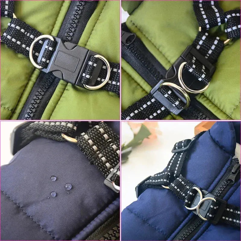 Ultimate Winter Dog Jacket with Built-In Harness Puppy Whippd