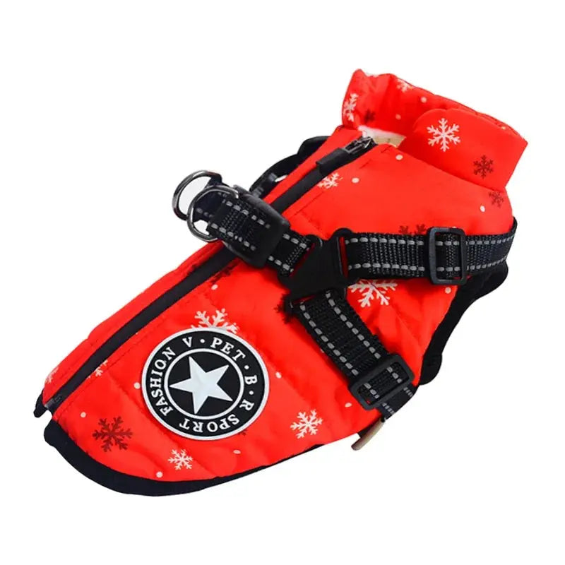 Ultimate Winter Dog Jacket with Built-In Harness Puppy Whippd