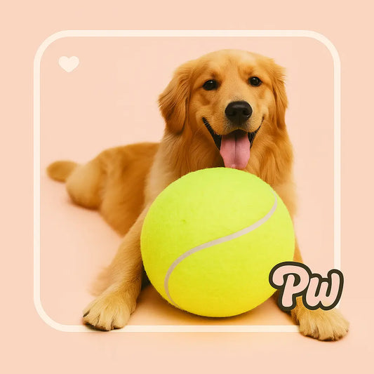 Extra Large Tennis Ball Toy for Big Dogs Who Love to Play Puppy Whippd