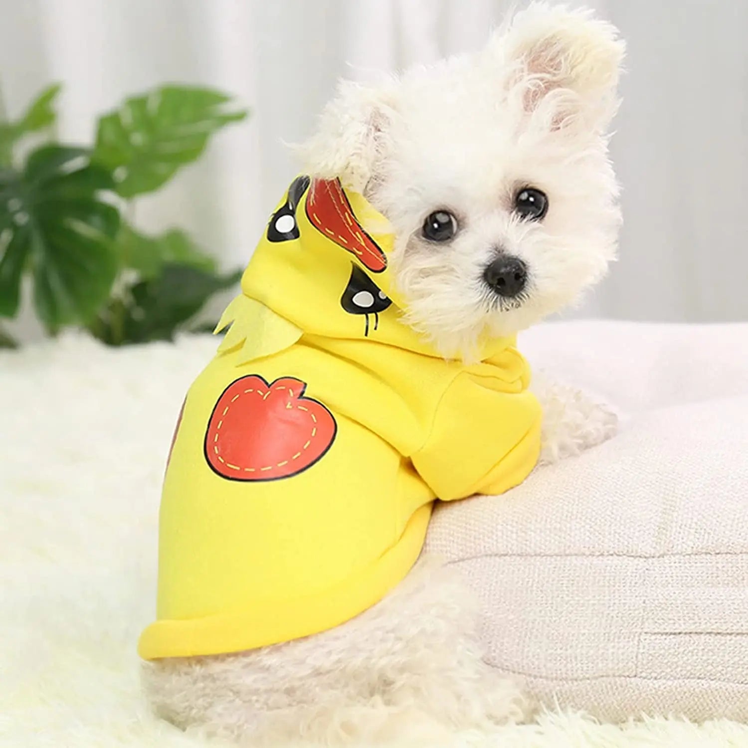 Tiny Paws of Fury: The Ultimate Fleece Fashion Show for Pint-Sized Pups in Tiger, Duck, and Dino Disguises! Puppy Whippd