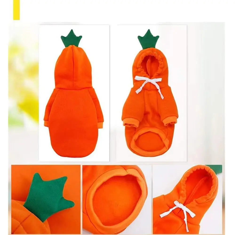 Pumpkin Pup Hoodie for Halloween Fun and Fall Photos Puppy Whippd