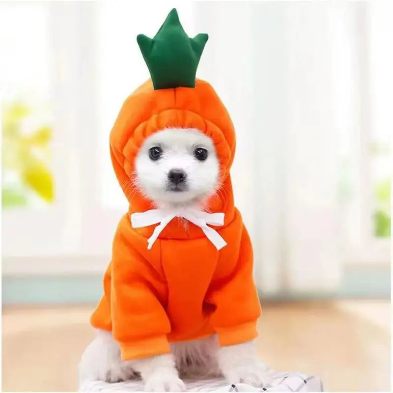Pumpkin Pup Hoodie for Halloween Fun and Fall Photos Puppy Whippd