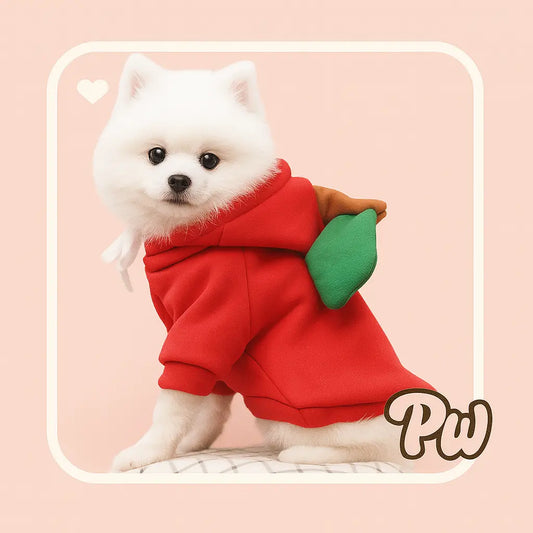 Pumpkin Pup Hoodie for Halloween Fun and Fall Photos Puppy Whippd